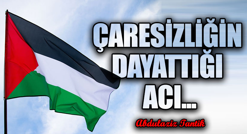 Çaresizliğin Dayattığı Acı…